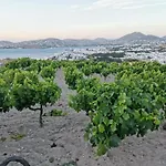 Wonderfull Sea View Ii Παράσπορος